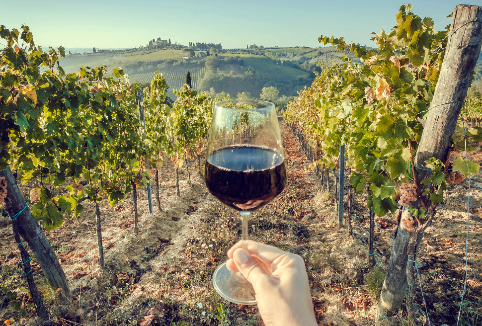San Gimignano Degustazioni