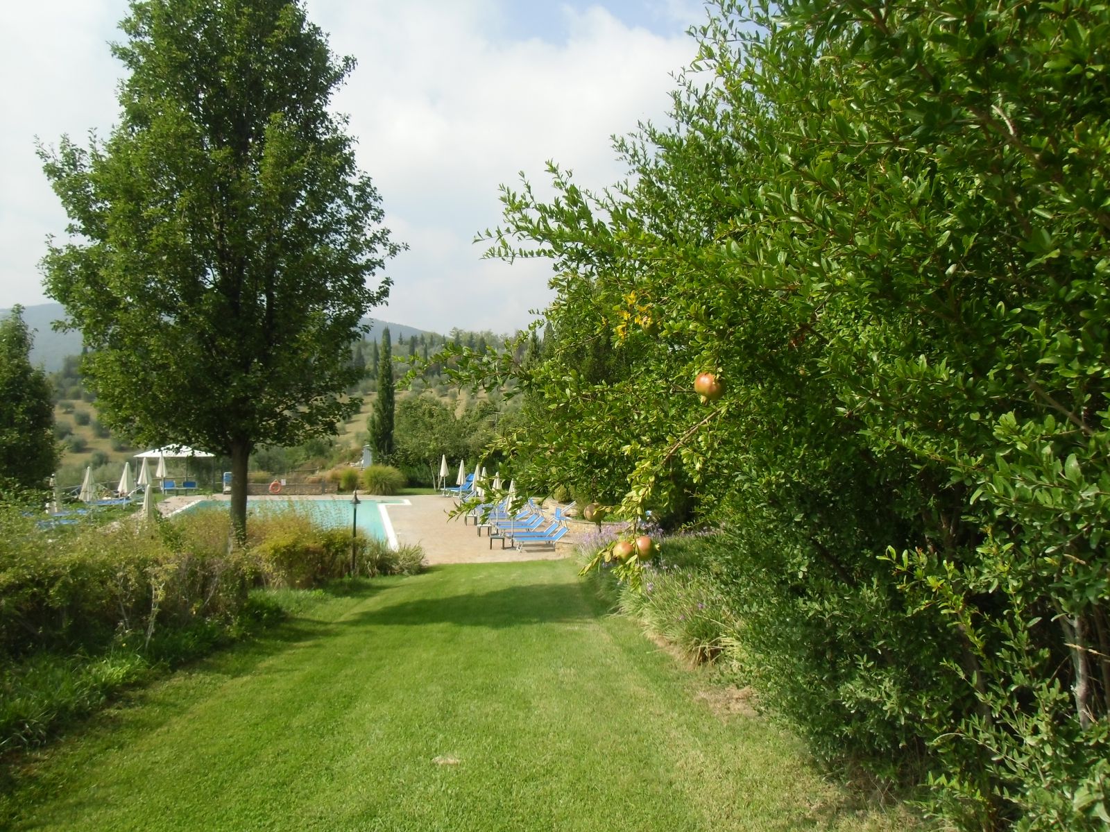 San Gimignano Hotel con piscina