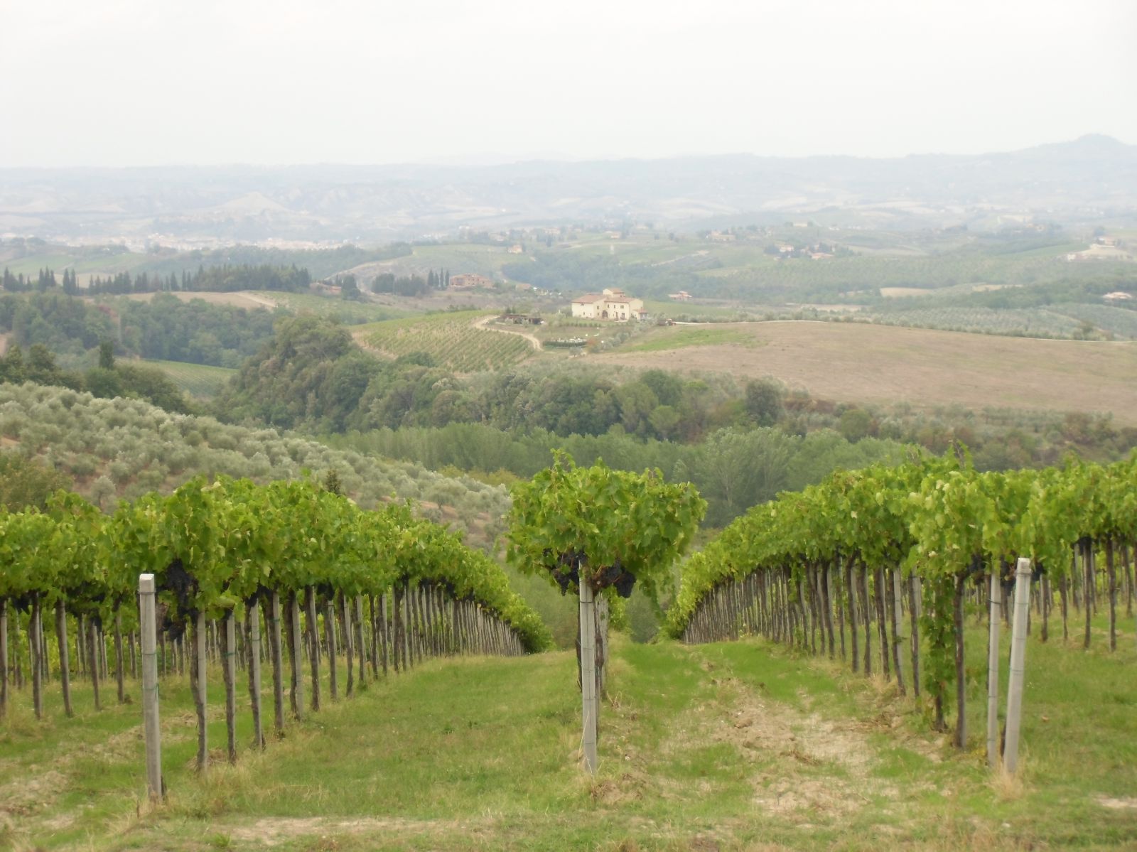 Hotel nel Chianti