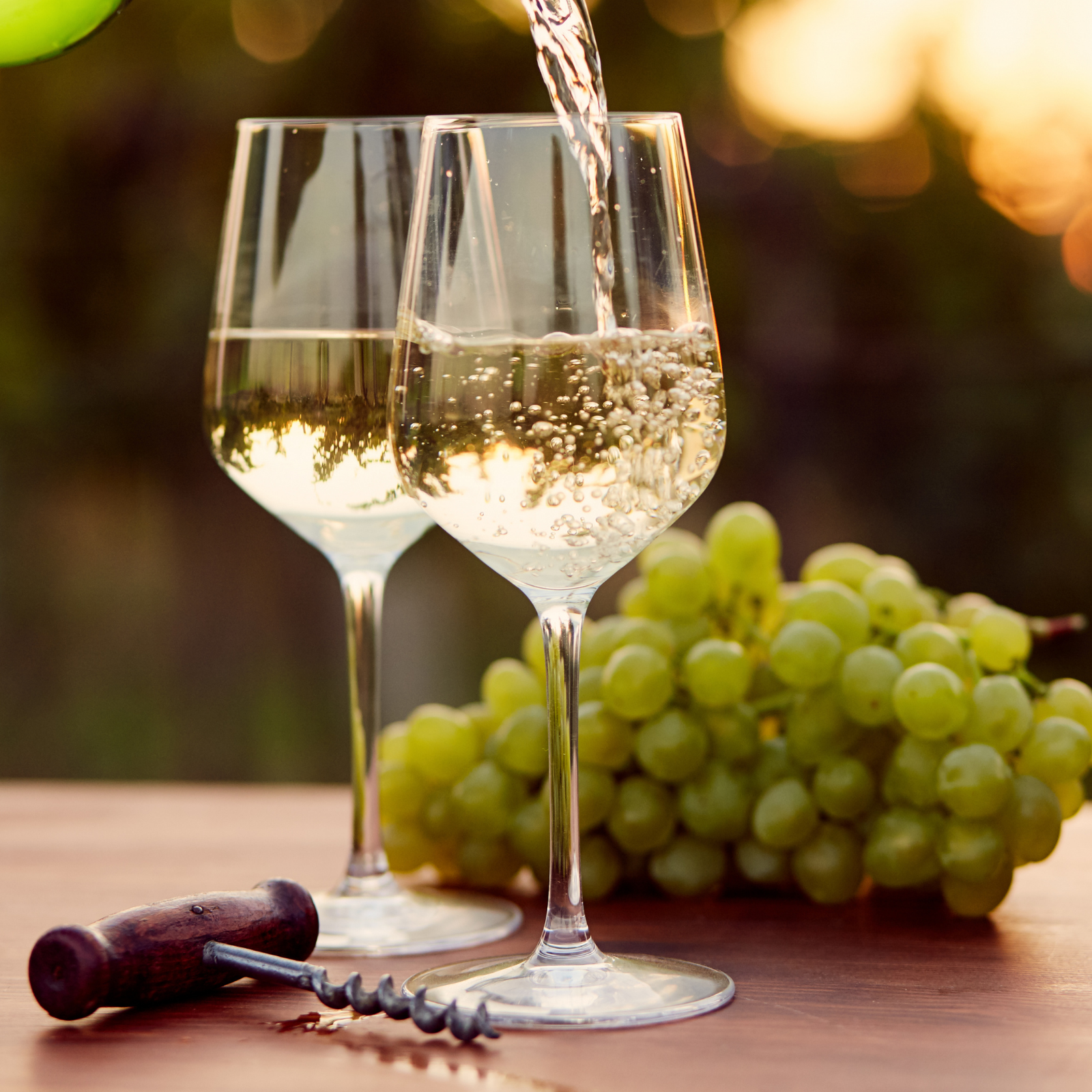 Degustazioni di vino a San Gimignano
