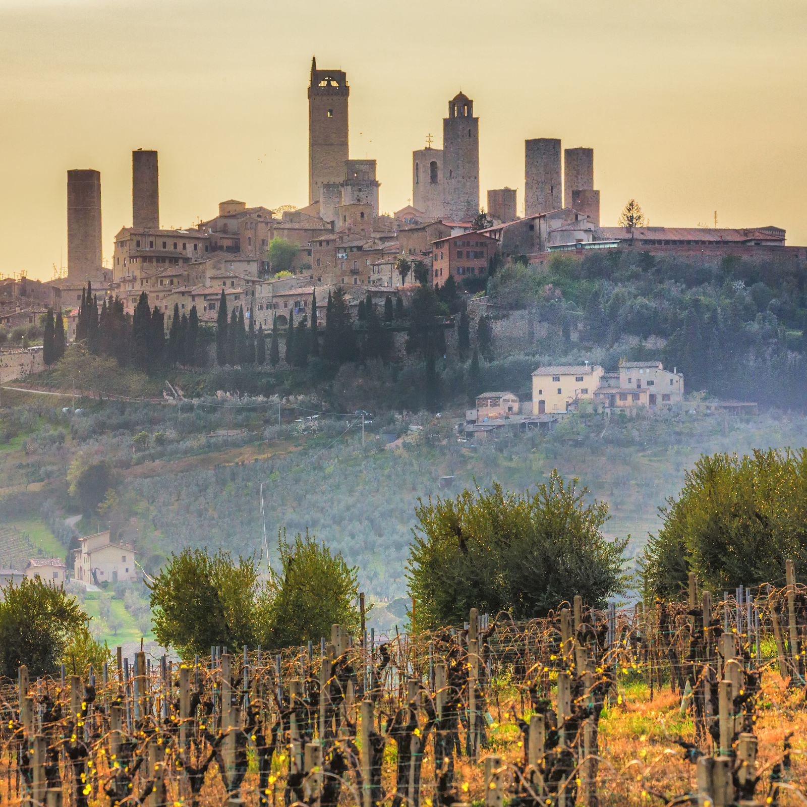Hotel con vista su San Gimignano