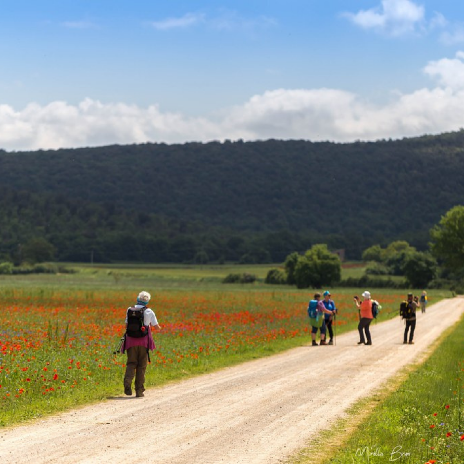 Hotel sulla Via Francigena Toscana